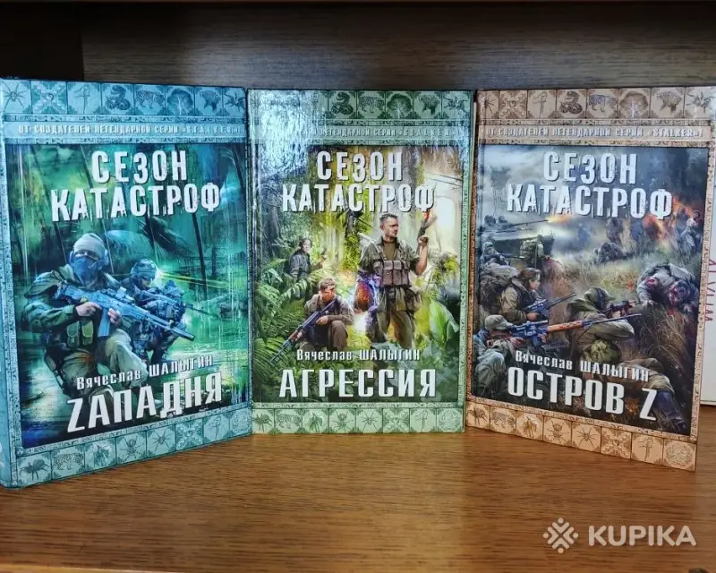 Вячеслав Шалыгин : Агрессия, Zападня, Остров Z.