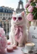 user_75755