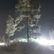 Лика