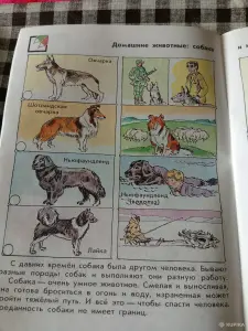 Природа и человек тетрадь