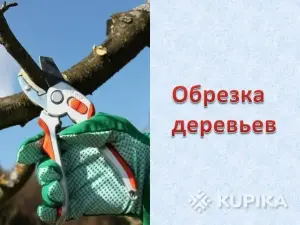 Обрезка деревьев