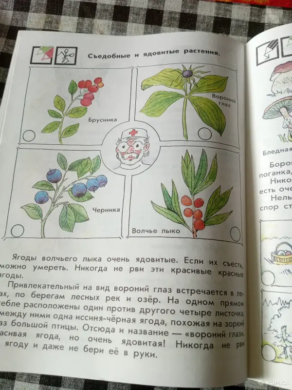 Природа и человек тетрадь - Вся Беларусь - 261582 - Доска объявлений Kupika.by - Фото 7