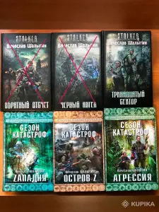 Вячеслав Шалыгин : "Агрессия», «Zападня», «Остров Z".