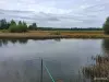 Продажа домов - Дом в лесной д.Нивное,Налибокская пуща,выход на озеро с участка,83 км от МКАД,рядом вся инфра, коммуникации - Вся Беларусь - Фото 13 Дом в лесной д.Нивное,Налибокская пуща,выход на озеро с участка,83 км от МКАД,рядом вся инфра, коммуникации - Вся Беларусь - 263036 - Доска объявлений Kupika.by - Фото 13