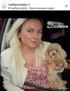 Тикап и мини мальтипу пушоны бишоны Китай