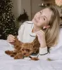 Собаки - Топовые щенки мальтипу и кавапу - Вся Беларусь - Фото 4 Топовые щенки мальтипу и кавапу - Вся Беларусь - 263579 - Доска объявлений Kupika.by - Фото 4