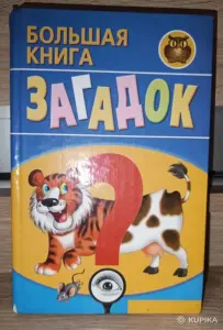 Большая книга загадок