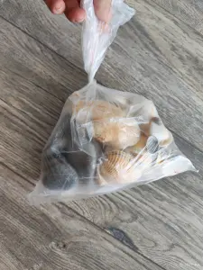 Ракушки с моря