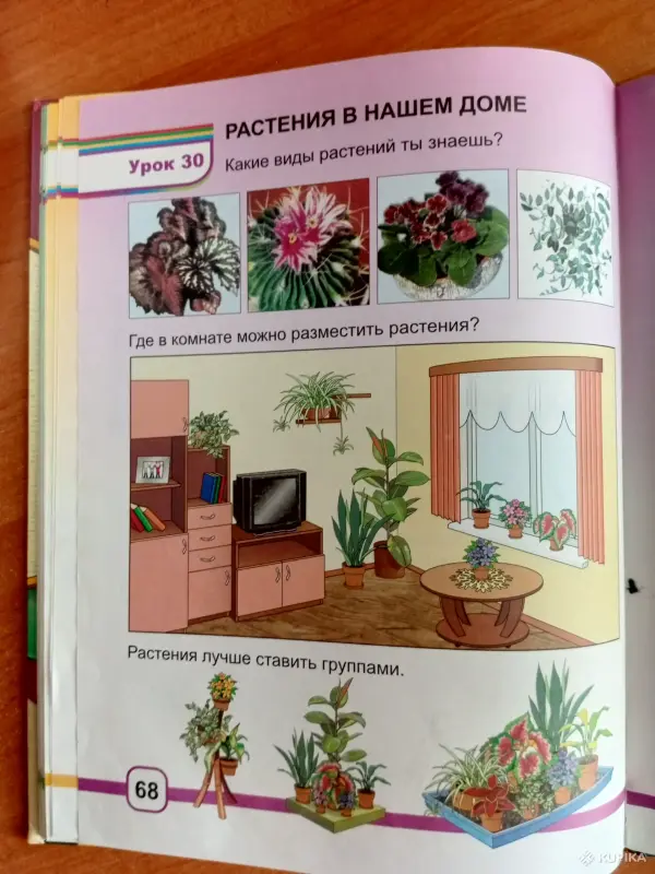 Трудовое обучение. книга - Вся Беларусь - 261966 - Доска объявлений Kupika.by - Фото 13