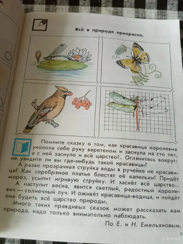 Природа и человек тетрадь - Вся Беларусь - 261582 - Доска объявлений Kupika.by - Фото 2