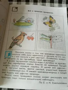 Природа и человек тетрадь