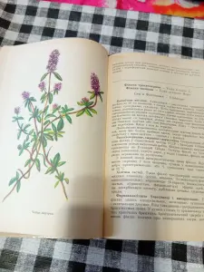 "Лекарственные растения"