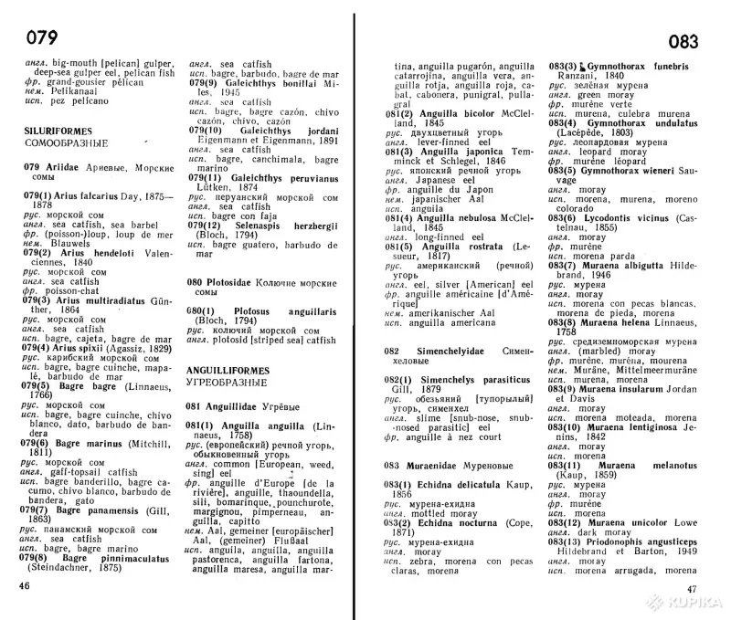 Словарь названий морских рыб (288 стр., 1984) - Вся Беларусь - 263421 - Доска объявлений Kupika.by - Фото 6