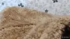 Одежда для мальчиков - Кофта для мальчика и девочки Плюш рост 86-92 - Вся Беларусь - Фото 5 Кофта для мальчика и девочки Плюш рост 86-92 - Вся Беларусь - 262320 - Доска объявлений Kupika.by - Фото 5