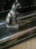 Все остальное - Статуэтка - Вся Беларусь Статуэтка - Вся Беларусь - 265161 - Доска объявлений Kupika.by