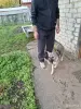 Малышка 4 месяца - Вся Беларусь - 264371 - Доска объявлений Kupika.by - Фото 2