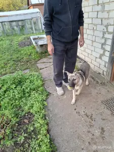 Малышка 4 месяца