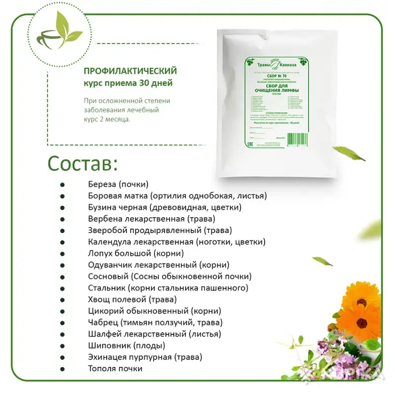 Лимфодренажный сбор Травы Кавказа №70 для очищения организма и похудения - Вся Беларусь - 266052 - Доска объявлений Kupika.by - Фото 3