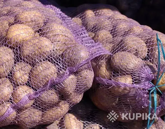 Картофель урожай 2026