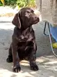 user_76524