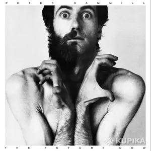 Peter Hammill__Музыкальные CD диски