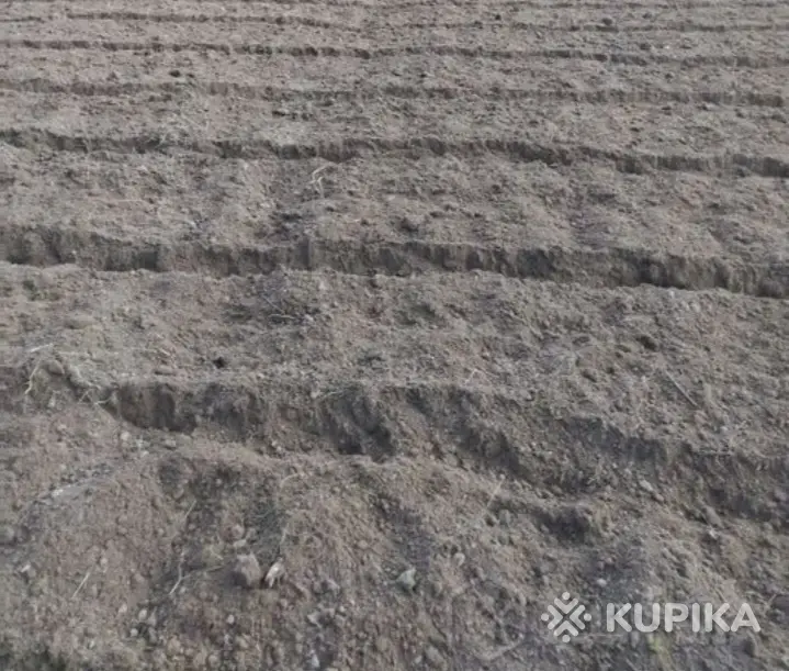 Необходимо вскопать