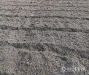 Необходимо вскопать