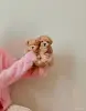 Собаки - Мальтипу ф1 мини девочки - Вся Беларусь - Фото 2 Мальтипу ф1 мини девочки - Вся Беларусь - 264974 - Доска объявлений Kupika.by - Фото 2