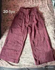 Одежда