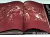 Книги, журналы - Энциклопедия World of Warcraft - Вся Беларусь - Фото 6 Энциклопедия World of Warcraft - Вся Беларусь - 265108 - Доска объявлений Kupika.by - Фото 6