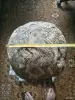 Материалы для рукоделия - Сувель шарообразный для творчества и прочего - Вся Беларусь Сувель шарообразный для творчества и прочего - Вся Беларусь - 264317 - Доска объявлений Kupika.by