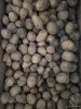 Картофель фуражный на корм животным - Вся Беларусь - 265646 - Доска объявлений Kupika.by