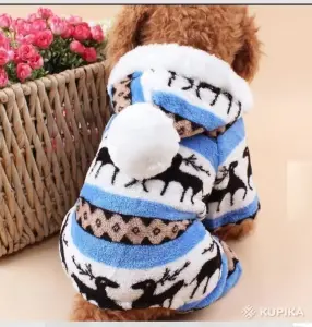Костюм для животных
