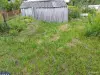 Продам дачу в СТ Химик-3 (Махирово) - Вся Беларусь - 265846 - Доска объявлений Kupika.by - Фото 4