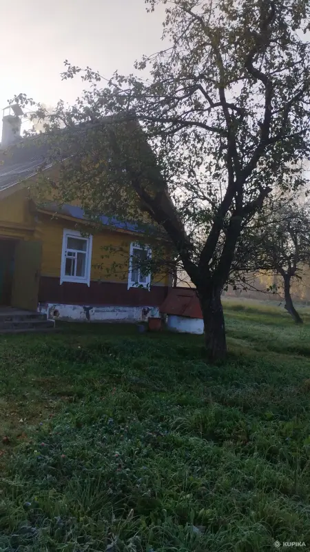 Требуется сиделка к пожилой женщине спрос - Телеханы - 265507 - Доска объявлений Kupika.by - Фото 4