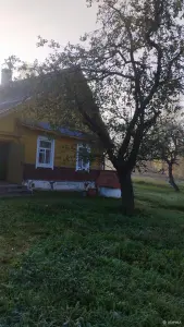 Требуется сиделка к пожилой женщине спрос